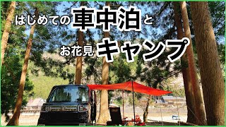 【女子ソロキャンプ】綺麗な桜を見ながら初めて車中泊したら幸せすぎた！