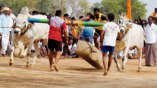 రాంపూర్ మఠం 6 పళ్ళ విభాగం బండలాగుడు పోటీలు 8వ జత k వెంకటేష్ జమ్మిచేడు జోగులాంబ గద్వాల జిల్లా