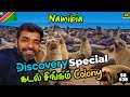 🦭African Sealion Colony தமிழில்👍| 🇳🇦 Namibia Ep7