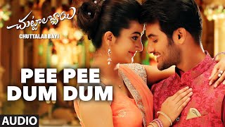 Pee Pee Dum Dum Song || Chuttalabbayi || Aadi, Namitha Pramodh ||  SS Thaman