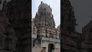 Beautiful Kaiwara Temple 🕉️🙏🚩🚩 #temple #templesofindia #kaiwara #hindu #sanatandharma #shorts