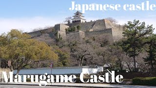 ⑭Marugame Castle (Japanese castle)The existing twelve castle towers. The best stone wall in Japan.