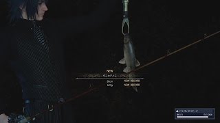 FF15 ノクトの釣りギャラリー047匹目「ダスカデイス」出現条件と簡単に釣りあげる方法