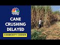 Delay In Cane Crushing Will Benefit Sugar Recovery & Better Sugar Production: Shree Renuka Sugars