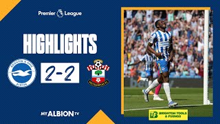 PL Highlights: Albion 2 Southampton 2