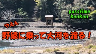 キャンプ・野猿、十津川村つり橋の里キャンプ場と谷瀬の吊り橋そして野猿での挑戦　Ep.2。