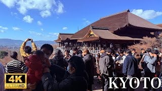 New Year’s Visit to Kiyomizu-dera | Kyoto’s Scenic Walk in 4K