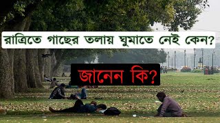 রাতে গাছের তলায় ঘুমাতে নেই কেন? rate gaser tolai ghumate nei keno |