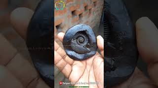 shaligram shree yantra 💐💐 #shorts #short #shortsfeed