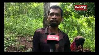 Keonjhar: Family calls sorcerer to cure ill woman at Bansapal | Kalinga TV