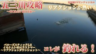 【バス釣り】五三川攻略！コレが釣れる！リアクションダウンショットが熱い！