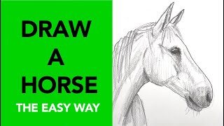 Easy way to draw a horse!