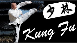 Shaolin Kung Fu Basic Training for Adults - Session 2