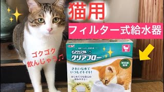 ＊88【ピュアクリスタルクリアフロー】初めての給水器！猫（リクト）は上手に飲めるかな？【実家編】