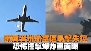 南韓濟州航空遭鳥擊失控　恐怖撞擊爆炸畫面曝