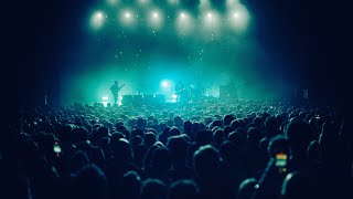Palace - Greyhound (Live from Hammersmith)