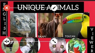 Unique animals in the world2 April 2024