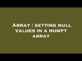 Array : setting null values in a numpy array