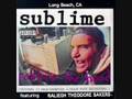 Sublime - Work That We Do