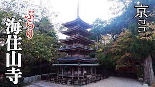 【京都おすすめ】格別！　ぶらり海住山寺　小さな五重塔【京のココ見といやす】【京都観光旅行】