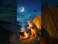 cozy cat’s beach camping adventure a journey in the great outdoors