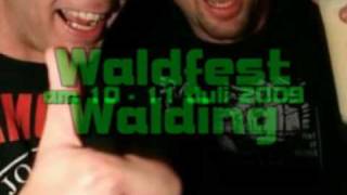 Waldfest Walding 2009