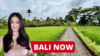Virtual Walking Tour UBUD BALI INDONESIA 🇮🇩 BALI TODAY