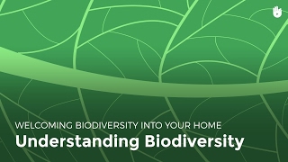 Understanding Biodiversity | Biodiversity