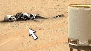 Perseverance Rover released Mars 4k Video || Life on Mars || New Mars Video: Mars In 4k