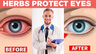 Unlocking the Power of Herbs: Protect Eyes and Repair Vision Today