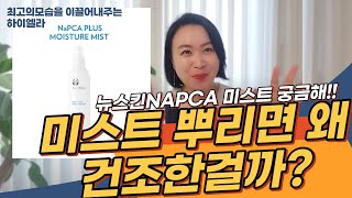 미스트뿌리는데왜그리건조해??#뉴스킨미스트 #NAPCA #히알루론산 #알로에베라 이런미스트뿌려봤어??