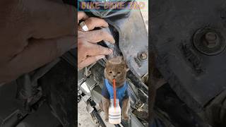 🐱வண்டி பெட்ரோல் குடிக்குது😅|Bike care 360| #shorts