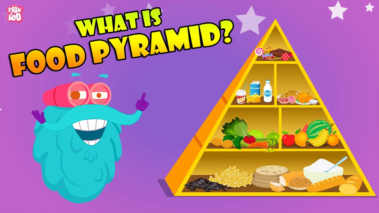 FOOD PYRAMID | How Different Foods Affect Your Body | The Dr Binocs ...