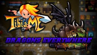 TibiaME Dragon Rutting 2016 | All Matriarch BOSS Battles/Locations