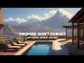 Promise Don't Forget | Relax with the Smoothest Chillout Tracks 2024