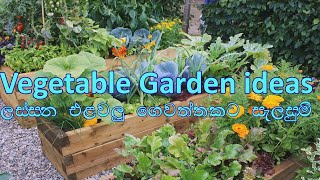 Beautiful home vegetable gardening ideas