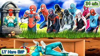 Equipo Spider-Man Bad Guy Joker || Equipo Spider-Man y Spider-Man Fantasma || Acción real +MÁS