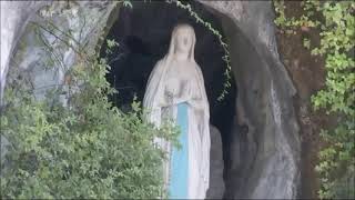 Santo Rosario  Virgen de Lourdes  MISTERIOS DOLOROSOS 7 de Febrero de 2023