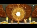 തിരുസന്നിധിയില്‍... let s adore him... eucharistic adoration on every thursday at 9 pm