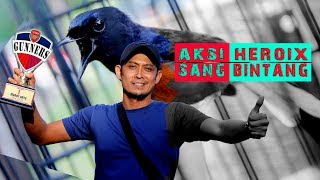 EBOD JOSS BIRD CHAMPION : Edaaaan!! Aksi Heroix MB Bintang Menutup Akhir Tahun 2017 Dengan Manis