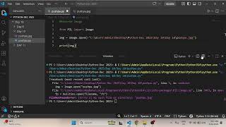 Reverse Image Search using Python