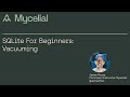 SQLite for beginners: Vacuuming