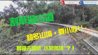 [香港行山] 2021.04.06 沙田圍站-水泉澳邨-水泉澳-割草坳古道-觀音山村-沙田坳道-慈雲山觀音佛堂-慈雲山