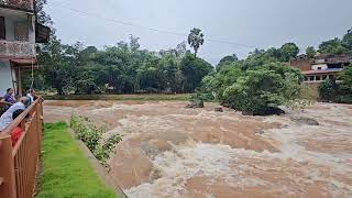 ಕಟೀಲು ನಂದಿನಿ ಇವತ್ತು ಹೇಗಿದ್ದಾಳೆ ನೋಡಿ.