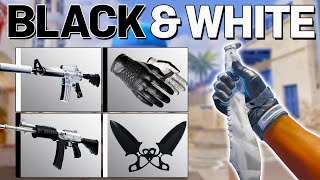 The BEST BLACK and WHITE Themed CS2 Loadout! (Cheap \u0026 Expensive)