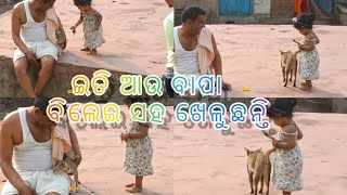 ବିଲେଇ ସହ ଖେଳୁଛନ୍ତି 😄😃||IpsitaSahoo lifestyle ||#youtubeindia #blogger #vlogger #catlovers