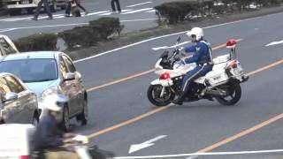 【緊急走行】白バイUターンで違反車の背後にピタリ!!