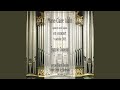 Sanctus: VI. Hosanna in excelsis (Live)