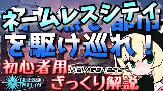 【PSO2NGS】ネームレスシティ立ち回り解説【COEIROINK】