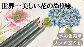 ほぼ水なしで水彩色鉛筆を使ってみます【大人の塗り絵】adult coloring books